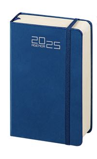 AGENDA GIORNALIERA